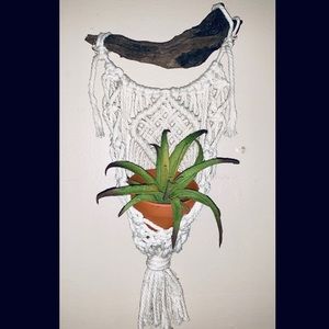 Macrame wall hanging planter